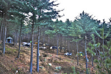 [한국의 캠핑장]동화나라 캠핑마을, 포천 유식물원 캠핑장