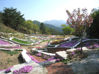 [한국의 캠핑장]동화나라 캠핑마을, 포천 유식물원 캠핑장