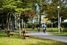 [한국의 캠핑장]가을 섬이 차리는 캠핑 별미, 춘천 중도 오토캠핑장