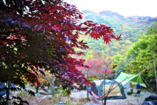[한국의 캠핑장]너그러운 산 속에서의 하룻밤, 무주 덕유대야영장
