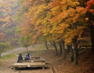 [한국의 캠핑장]배낭 하나에 일상을 털다, 강화 함허동천 야영장