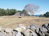 [新택리지]철기문화와 해양관광이 어우러진 도시, 자동차산업의 메카 ‘울산 북구’