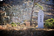 [한국의 캠핑장]특별한 추억을 쌓는 곳, 공주 이안숲속 캠핑장