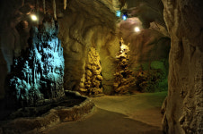 [한국의 캠핑장]특별한 추억을 쌓는 곳, 공주 이안숲속 캠핑장