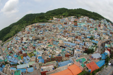 [新택리지]절경을 품은 철새의 고장, 부산 사하구