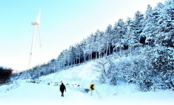 사박사박 겨울 밟으러 간 길…평창 태기산