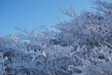 사박사박 겨울 밟으러 간 길…평창 태기산