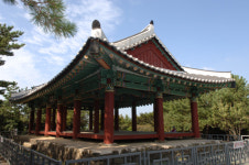 [新택리지]절경을 품은 철새의 고장, 부산 사하구