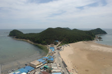 [新택리지]절경을 품은 철새의 고장, 부산 사하구