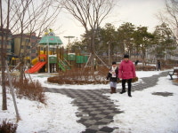 청년이 되어 찾아간 유년시절의 동네, 화곡동