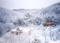 한방 체험·자연 치유 ‘한방명의촌’ 뜬다