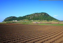 절울이 오름 위치한 일주도로 따라가면…
