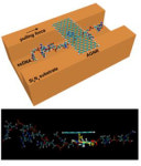 [포스텍]김광수 교수팀, 인간 게놈 1시간 안에 해독