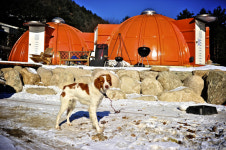 [한국의 캠핑장]작지만 더 바랄 것이 없는 ‘양평 분지울작은캠프장’