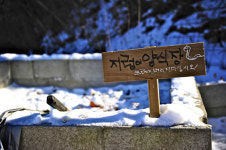 [한국의 캠핑장]작지만 더 바랄 것이 없는 ‘양평 분지울작은캠프장’