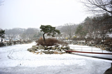 [한국의 캠핑장]씨앗이 움터 나오는 곳, 양주 씨알농장캠핑장