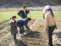 광주지역 도심 주말농장 일제히 분양