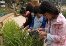 서울 속의 작은 농촌…“우린 어린이 농부” 밥상의 소중함 알게 됐죠