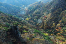 “국립공원 내장산, 국민에게 돌려달라”