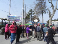 4대강 준설로 지하수 말라 “미나리꽝 농사 꽝됐어”