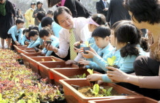 [포토뉴스] 모종은 이렇게