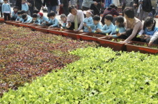 [포토뉴스] 모종은 이렇게