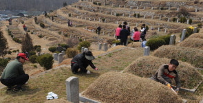 [포토뉴스]한식 앞두고 벌초