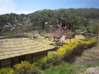 [놀러와]곡성 심청이야기 마을 관광객 손짓