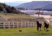 “장수하면 말, 말하면 역시 장숩니다”