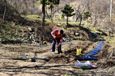 [한국의 캠핑장]고향집에 텐트를 치다, 남양주 깊은산속옹달샘캠핑장