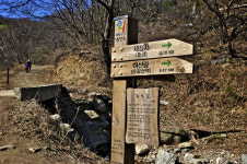 [한국의 캠핑장]고향집에 텐트를 치다, 남양주 깊은산속옹달샘캠핑장