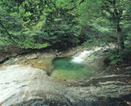 [新택리지]21세기 준비하는 첨단국방문화도시, 충남 계룡시
