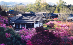 [新택리지]21세기 준비하는 첨단국방문화도시, 충남 계룡시