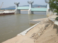 낙동강 물길 끊겨 농사 못짓고 습지까지 말라