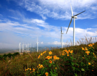 [新택리지]청정 자연과 푸른 감성 어우러진 곳, 자연과 하나 되게 하는 문향 ‘영양‘