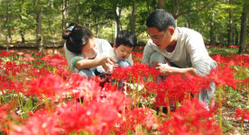 [新택리지]추락하던 함평천지 4계절 관광지로 변신 ‘친환경 으뜸 농촌, 함평군‘