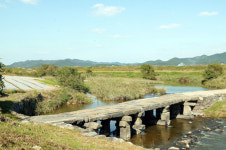 [新택리지]추락하던 함평천지 4계절 관광지로 변신 ‘친환경 으뜸 농촌, 함평군‘
