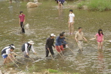 ‘왕피천 피라미축제’ 산골체험 오세요