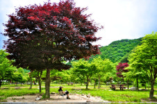 [한국의 캠핑장]넓고 깊은 어머니 산에 눕다, 지리산 달궁자동차야영장