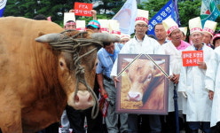 [포토뉴스]축산농 “FTA가 한우 다 죽인다” 2만여명 상경시위