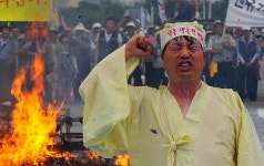 [경향포토]낙농육우인 총궐기대회