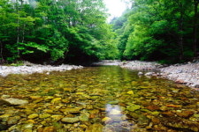 골 깊고 물 맑은 기슭 걸으니, 바람이 내 곁에