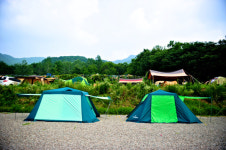 [한국의 캠핑장]달달한 머루향에 잠들다, 파주 산머루농원 캠핑장