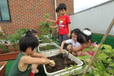 “직접 기른 유기농채소라 더 맛있죠”