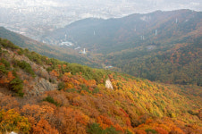 [新택리지]천혜의 자연자원·쾌적한 주거환경, 꿈이 있는 도시 대구 남구