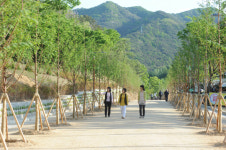 [新택리지]천혜의 자연자원·쾌적한 주거환경, 꿈이 있는 도시 대구 남구