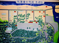 [한국의 캠핑장]송림이 숨긴 옥빛 바다, 강릉 옥계해수욕장 야영장