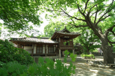 [新택리지]한국의 중심 ‘대전’ 대전의 중심 ‘중구’