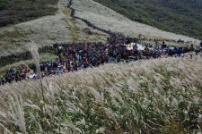 [포토뉴스]선율따라 춤추는 억새풀