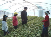 교사 가정방문 부활… 소외학생들 꿈의 부활